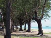 1 Day trip สงขลาเมืองเก่า