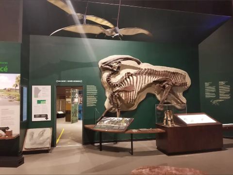 [A museum of knowledge and inspiration] Travel through Canadian history at the Manitoba Museum 🧭🏛️