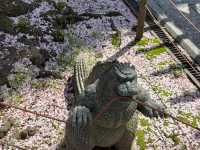 Kanazawa: The Perfect Solo Trip for the Spontaneous Traveler! 🌸