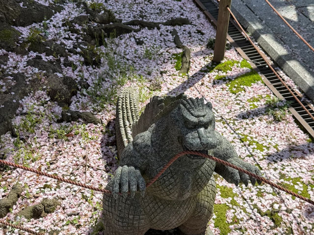 Kanazawa: The Perfect Solo Trip for the Spontaneous Traveler! 🌸