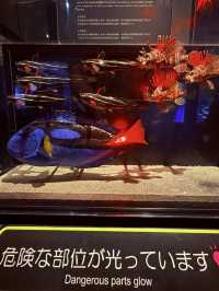 沖繩｜再遠都值得跑一趟 美麗海水族館的黑潮之美