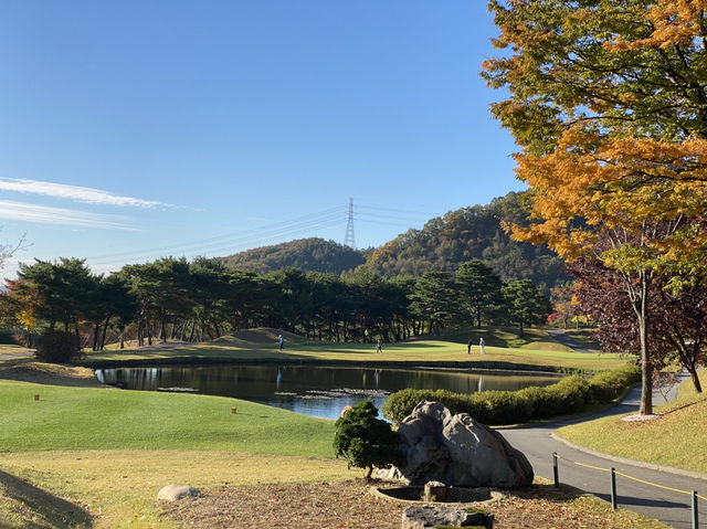비전힐스CC (Vision Hills CC) – 남양주 주중 퍼블릭 명품 코스 후기