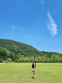 상소동 산림욕장에서 여름을 보내요🌿