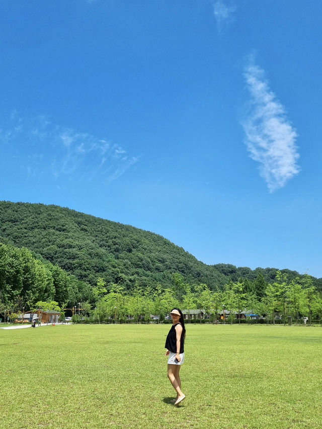 상소동 산림욕장에서 여름을 보내요🌿