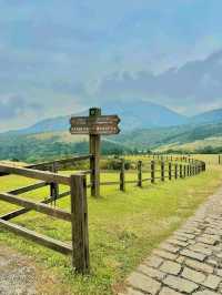 Summer Escape to Qingtiangang Grassland