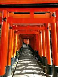 A Quiet Path Through Fushimi Inari Taisha