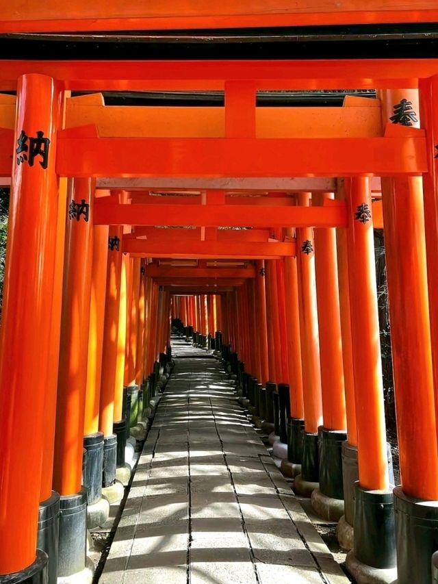 A Quiet Path Through Fushimi Inari Taisha