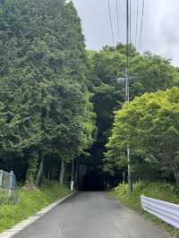 自然豊かな養老渓谷オススメスポット