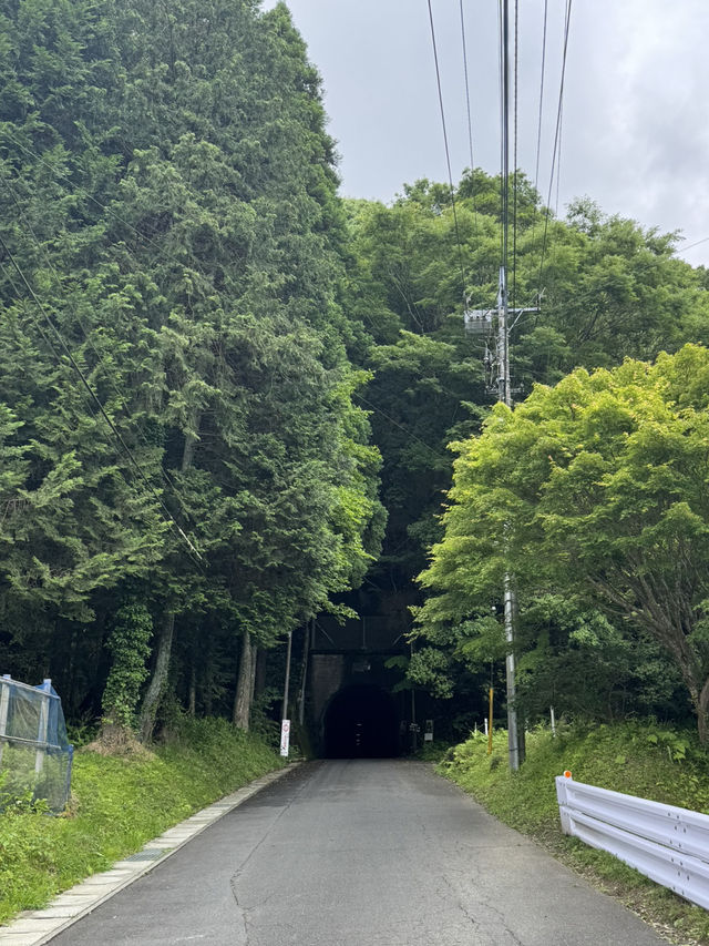 自然豊かな養老渓谷オススメスポット