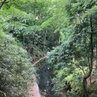 Todoroki Valley (Setagaya)
