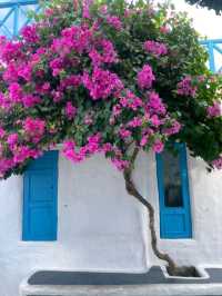 Scenic Views at Son Tra Marina