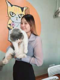 Catster by Kingdomoftigers พระประแดง