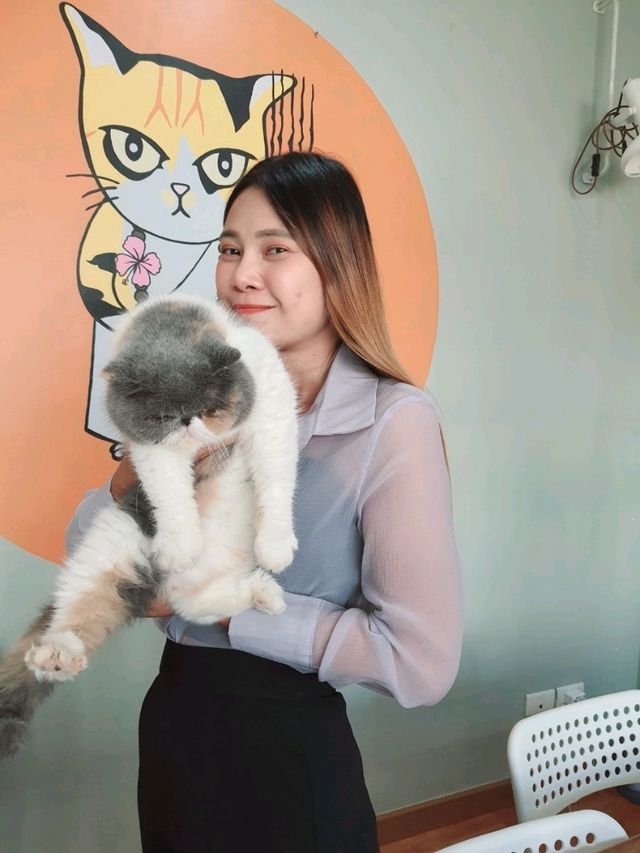 Catster by Kingdomoftigers พระประแดง