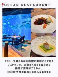 シンガポールひとり旅行ってよかった場所🇸🇬
