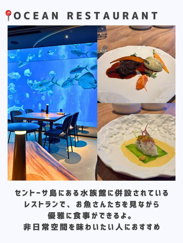 シンガポールひとり旅行ってよかった場所🇸🇬