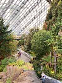 Singapore’s Most Iconic View – And It’s FREE!