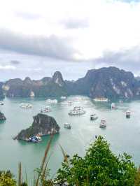 英雄島（Ti Top Island）