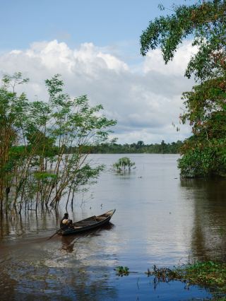 Amazon 3-Day Tour from Iquitos