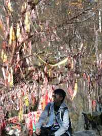 อุทยานซงผิงโกว (Songpinggou)