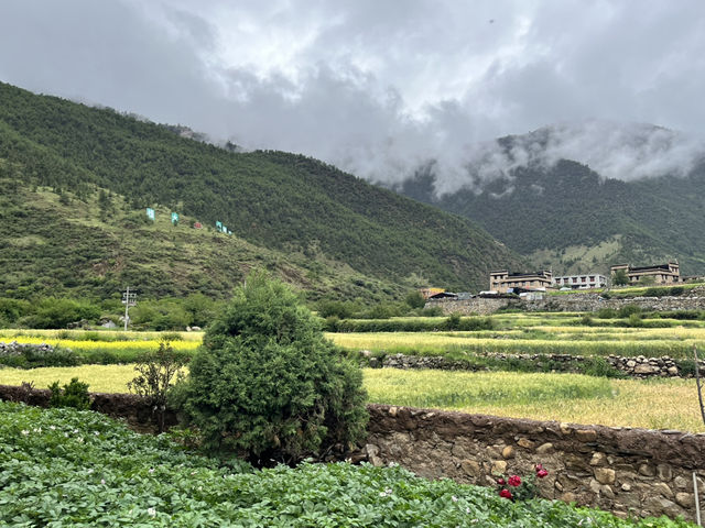 🌄 Immersive Tibetan Lunch & Local Culture at Kangba Folk Village | Daocheng 稻城