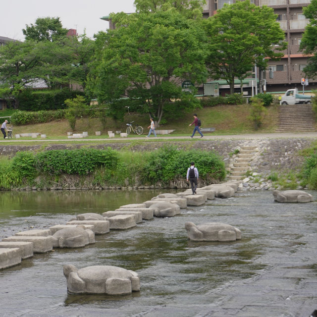 ปั่นจักรยานเลียบแม่น้ำ Kamo ,Kyoto