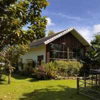 Sawanbondin Tea House & Experience
