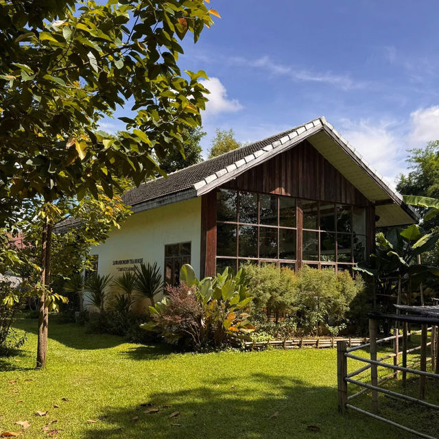 Sawanbondin Tea House & Experience