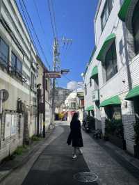 日本伊東溫泉