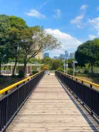 深圳中心公園｜藏在公園裏的宮崎駿☁️