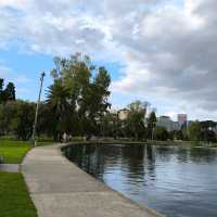 Albert Park Lake