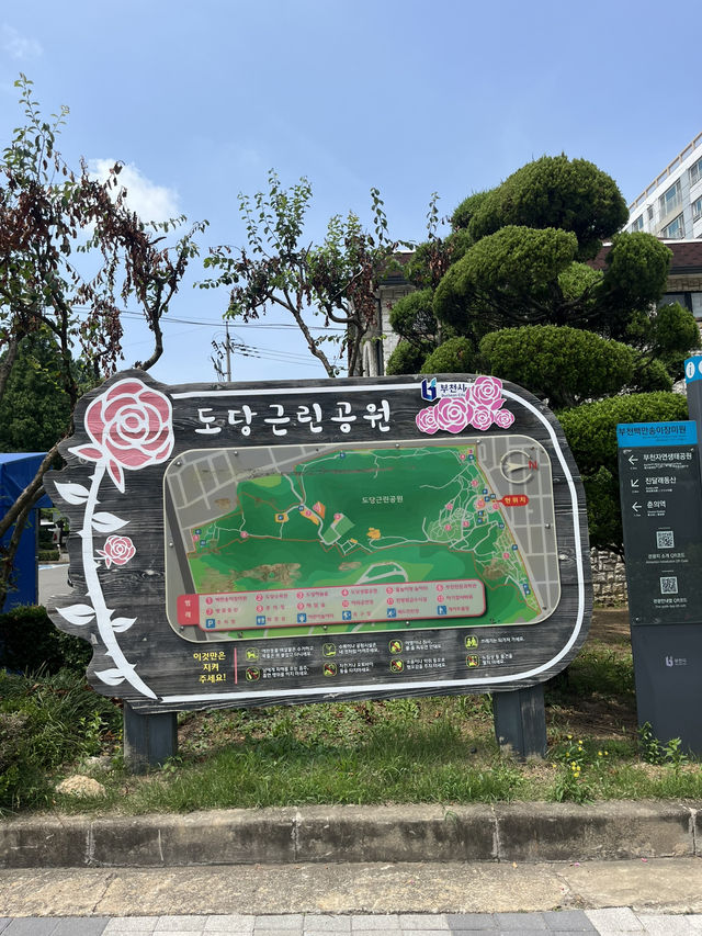 부천 여름 야외 데이트는 바로 여기🌸