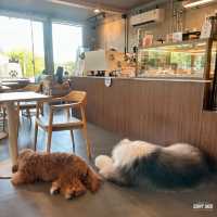 #คาเฟ่ศรีราชา #Corgandkoff #คาเฟ่ชลบุรี 