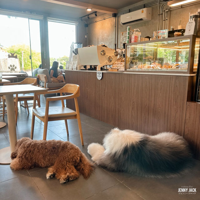 #คาเฟ่ศรีราชา #Corgandkoff #คาเฟ่ชลบุรี 