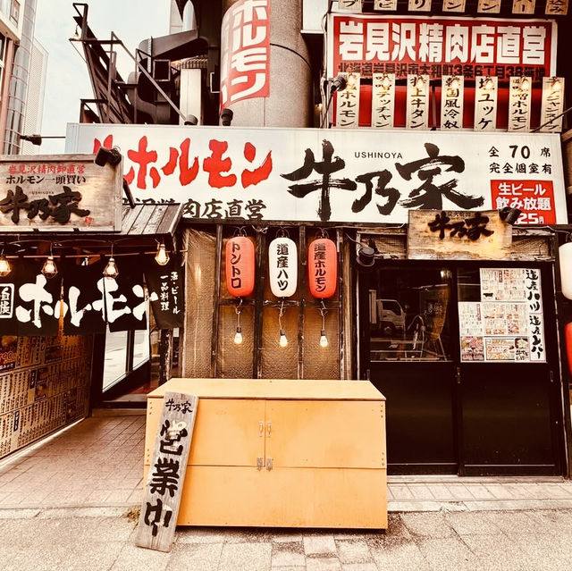 🌸 Solo Summer Stroll: Sapporo City Center – Cool Hokkaido Exploration