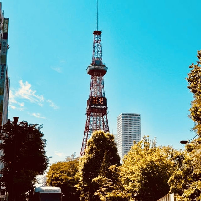 🌸 Solo Summer Stroll: Sapporo City Center – Cool Hokkaido Exploration