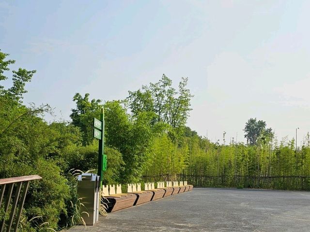 중국 청두 자이언트 판다 기지 