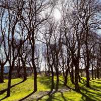 Whithworth park