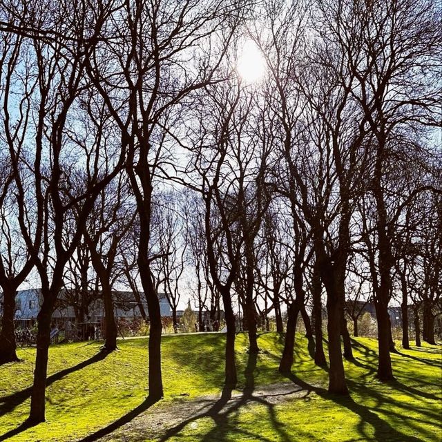 Whithworth park