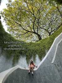 Fort Canning Tree Tunnel สวยจนอยากไปซ้ำ!!!🍀🌳