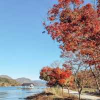 Nami Island: A Fairytale Day Trip from Seoul – Solo Traveler’s Ultimate Guide"** 🌲🚢