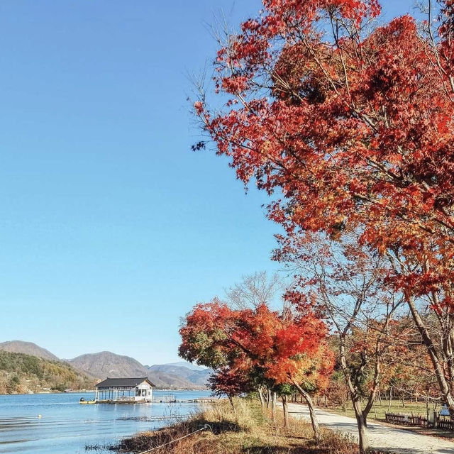Nami Island: A Fairytale Day Trip from Seoul – Solo Traveler’s Ultimate Guide"** 🌲🚢