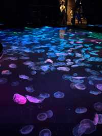 Sumida Aquarium 🐠🎏✨