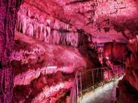 Caves & Forest Vibes