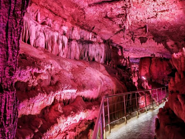 Caves & Forest Vibes