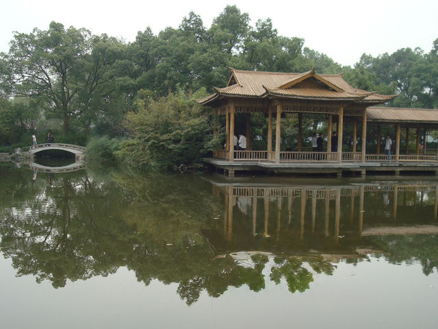 🌷 Taiziwan Park — A Stroll Through Spring’s Softest Dream