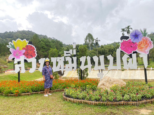 ชมสวนดอกไม้ที่เบตง