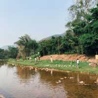 บ่อเกลือโบราณ หนึ่งเดียวในไทย 
