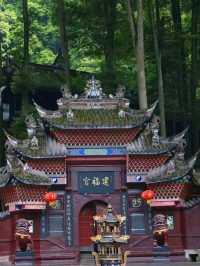 Where the Tao Whispers Through Bamboo – China’s Most Sacred Mountain Escape"