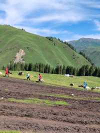 A Memorable Return Journey from Fairy Lake Horseback Riding Trip