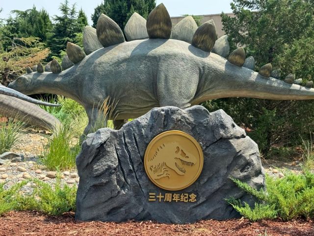 Picture-Perfect Moments at Universal Studios Beijing